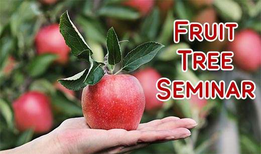 fruittreeseminar.jpg